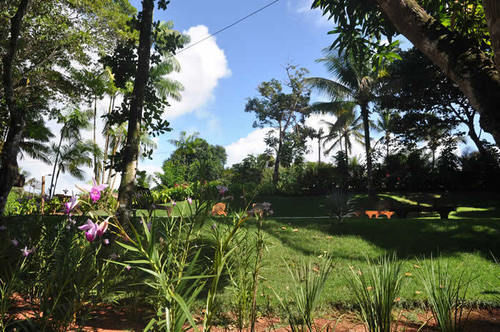 Pousada Da Paz Acomodação com café da manhã Itacaré Exterior foto